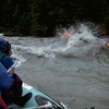 IMG0016.jpg