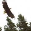 IMG0019.jpg