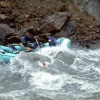 IMG0078.jpg