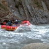 IMG0079.jpg