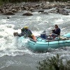 IMG0080.jpg