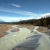 IMG0084.jpg