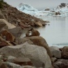IMG0046.jpg