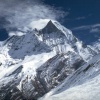 IMG0005.jpg
