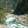 IMG0015.jpg