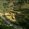 IMG0022.jpg