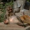 IMG0100.jpg