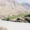 savlakempsh.jpg