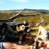 Tasmanie082A.jpg