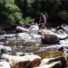 Tasmanie300A.jpg