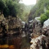 Tasmanie307A.jpg