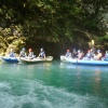 dsc05208.jpg