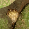 dsc05211.jpg