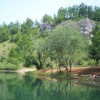 100_2742.jpg