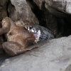 pict0171.jpg