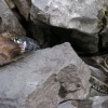 pict0172.jpg