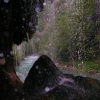 pict0210.jpg