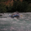 pict0219.jpg