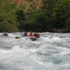 pict0222.jpg
