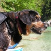 pict0058.jpg