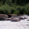 pict0080.jpg