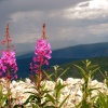 pict0130.jpg