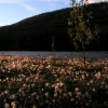 pict0161.jpg