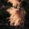pict0162.jpg