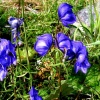 pict0164.jpg