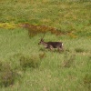 pict0178.jpg