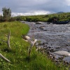 pict0221.jpg