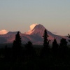 pict0007.jpg