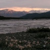 pict0154.jpg