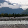 pict0206.jpg