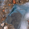 pict0256.jpg