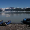 pict0559.jpg