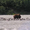 PICT0042.jpg