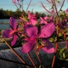 PICT0113.jpg